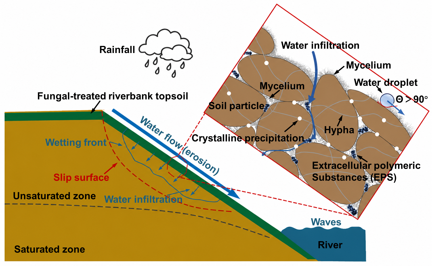 Bio-Technology for Soil Erosion Mitigation